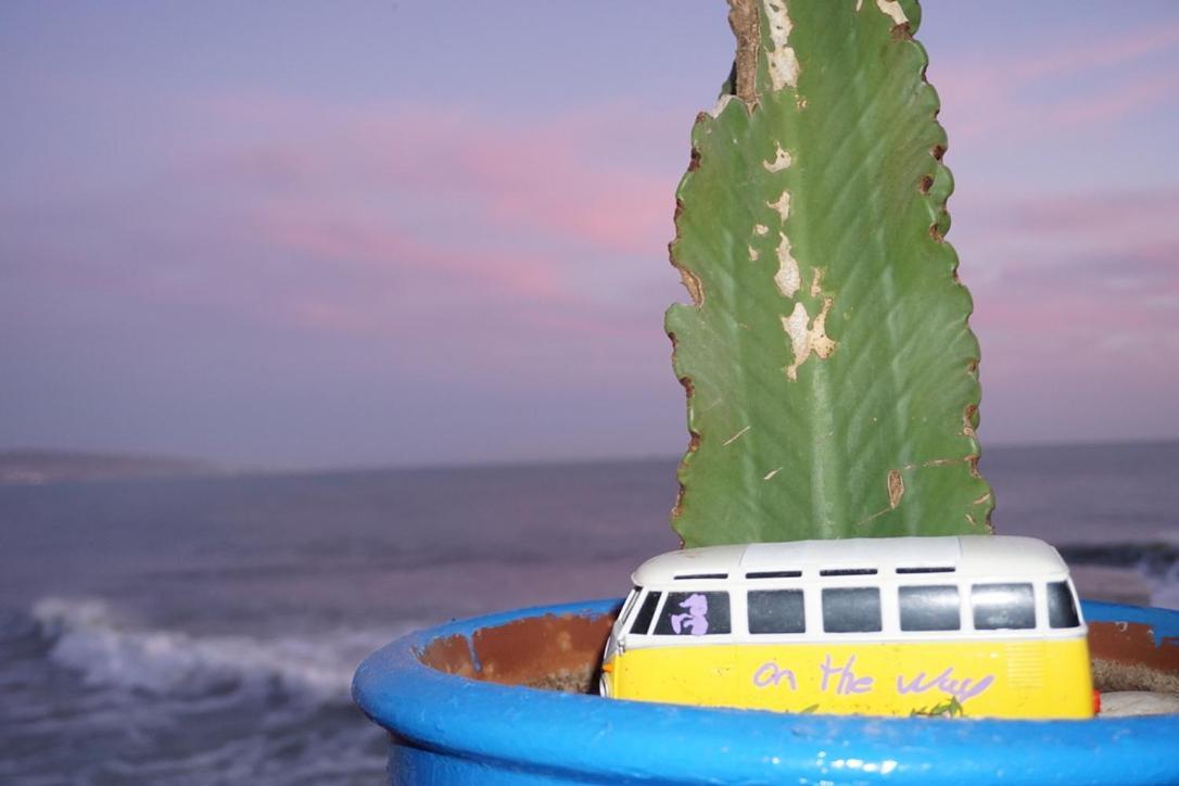 Hostel The Endless House Anchor Point Taghazout Exteriér fotografie
