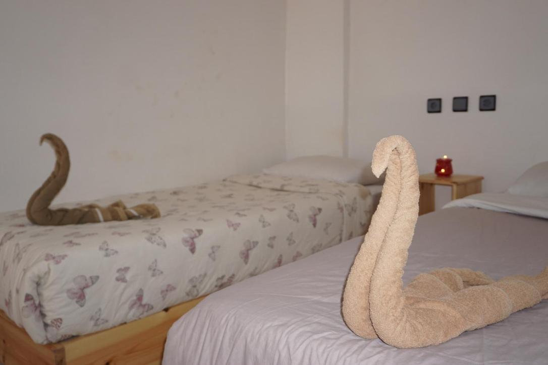 Hostel The Endless House Anchor Point Taghazout Exteriér fotografie
